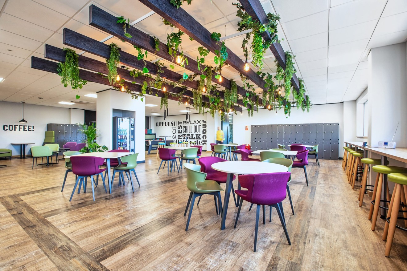 Breakout area in office with purple chairs and biophilic elements on the ceiling.
